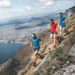 Pack X20 Barres Nutritionnelles Myrtille-Noisette-Bourgeon De Sapin -Magasin De Sport pack x20 barres nutritionnelles myrtille noisette bourgeon de sapin 4