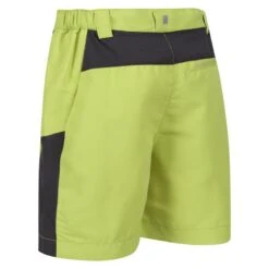 Regatta Short SORCER MOUNTAIN Enfant (Vert Algue / Gris Phoque) -Magasin De Sport short sorcer mountain enfant vert algue gris phoque 2